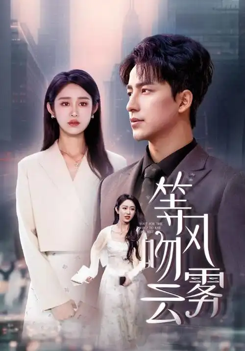 电视剧封面：破晓行动